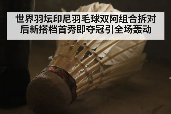 世界羽坛印尼羽毛球双阿组合拆对后新搭档首秀即夺冠引全场轰动