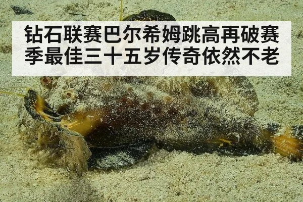 钻石联赛巴尔希姆跳高再破赛季最佳三十五岁传奇依然不老